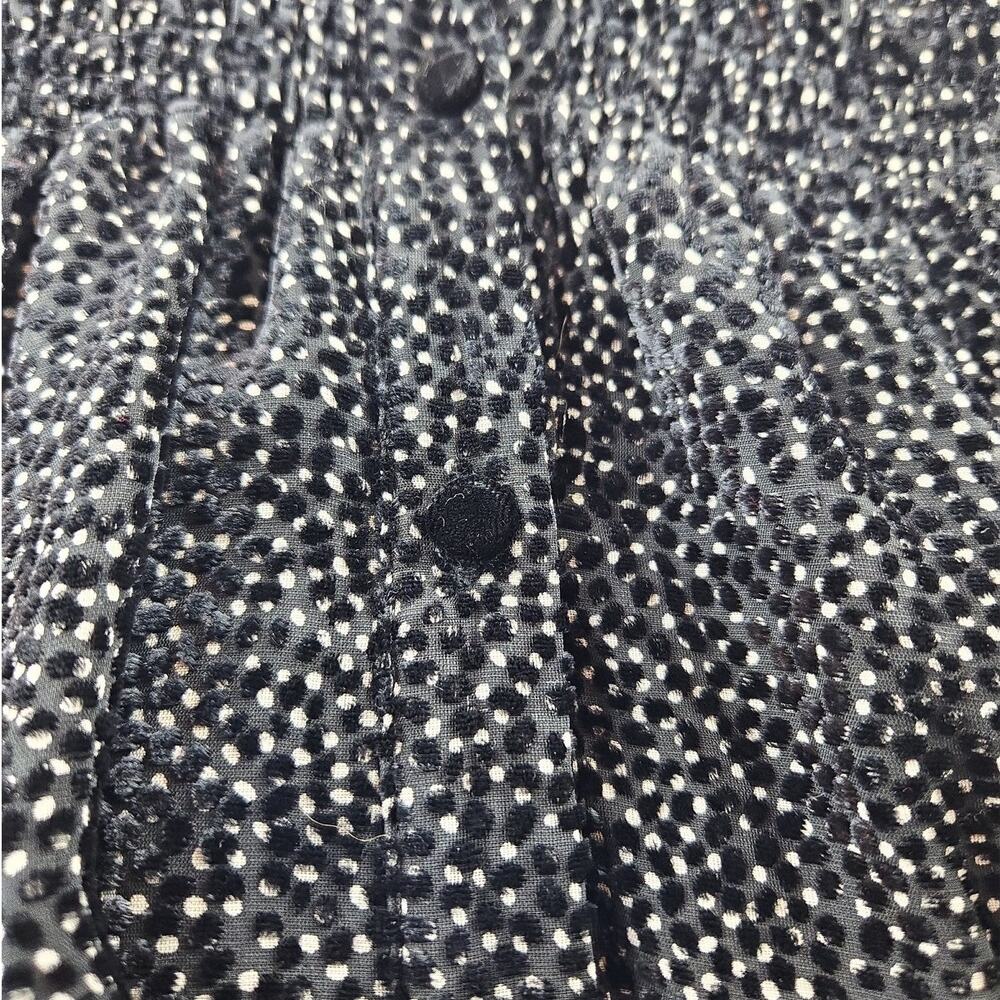 Zara  | Swiss Dot Dress with Black Velvet Accents  | Size Small - Picture 2 of 4